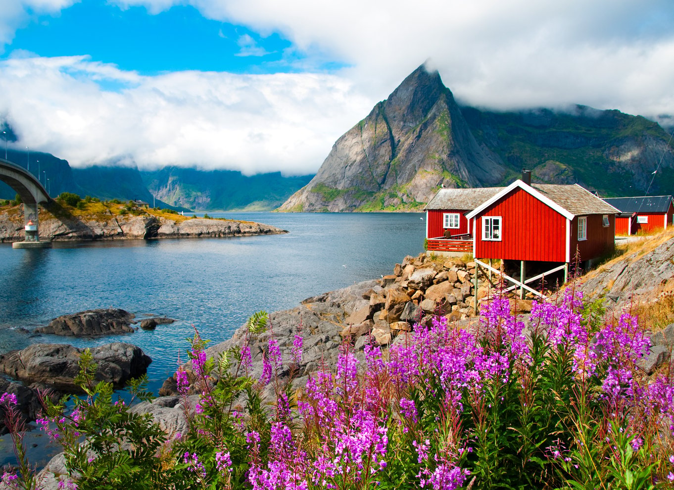 Fototur til Lofotens sydlige højdepunkter (sommer)