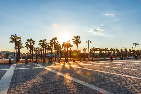 Les plages de Valence, la ville des arts sur un vélo électrique YAMAHA