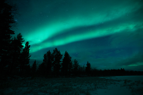 Kiruna: Excursión a la Aurora Boreal con cena en Abisko