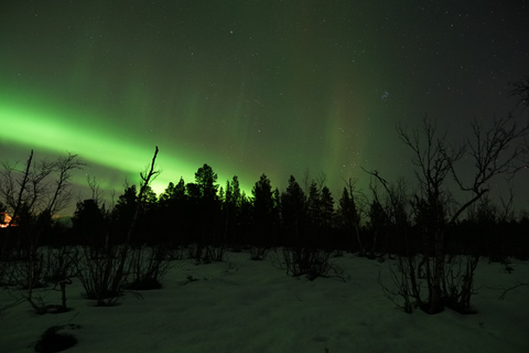 Kiruna : Excursion aux aurores boréales avec dîner à Abisko