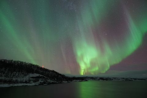 Kiruna: tour dell'aurora boreale con cena barbecue