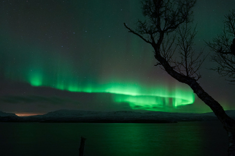 Kiruna: Northern Lights Tour with Dinner in Abisko