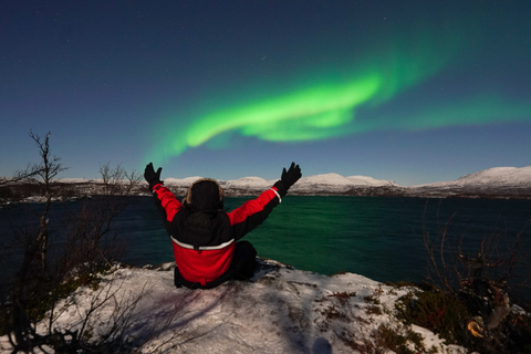 Kiruna: Excursão às Luzes do Norte com jantar em Abisko