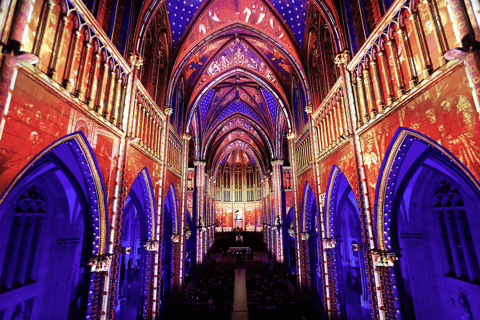 Luminiscence: Bilhetes para espetáculo imersivo e música em BarcelonaMúsica Digital - Categoria Ouro (Versão em português)