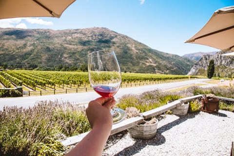 Queenstown: Full-Day Central Otago Food & Wine Tour