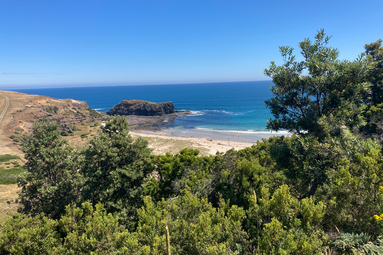 Mornington Peninsula Paddle, Pinot & Pools - Ganzer TagVon Melbourne: Ganztägige private Mornington Peninsula Tour