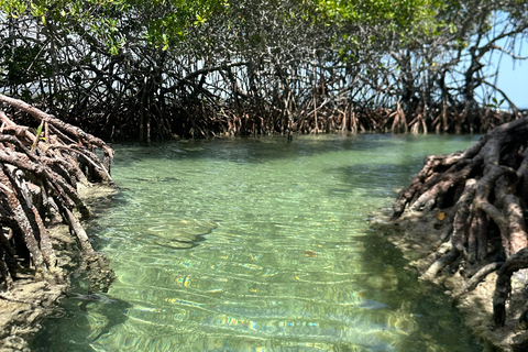 La Parguera : visite d'une demi-journée en bateau privé 4 heures