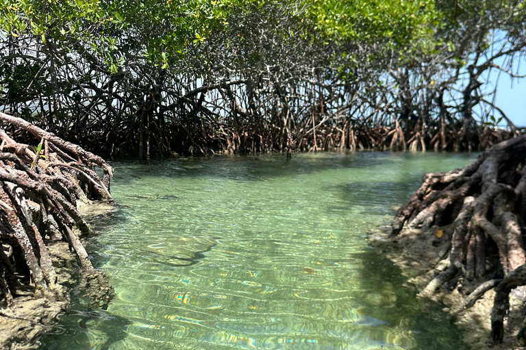 La Parguera : visite d'une demi-journée en bateau privé 4 heures