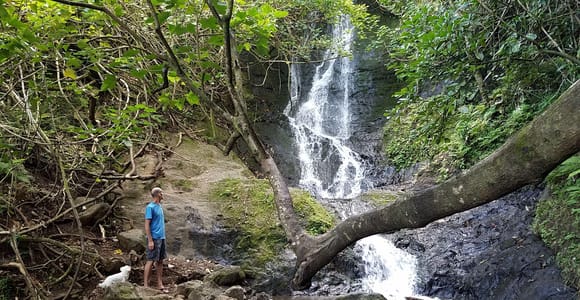Ganztägig vom Regenwald zum Riff: Radfahren, wandern, segeln und schnorcheln