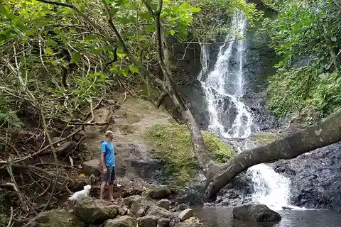 Rainforest to Reef Full-Day: Bike, Hike, Sail and Snorkel