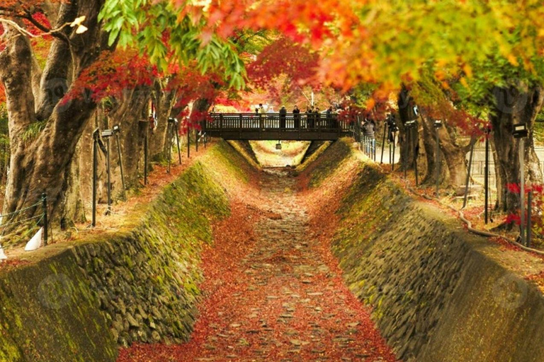 Fuji: kultur, skog och utsikt – privat skräddarsydd turFuji-kultur, skog och naturskön utsikt: Privat skräddarsydd tur