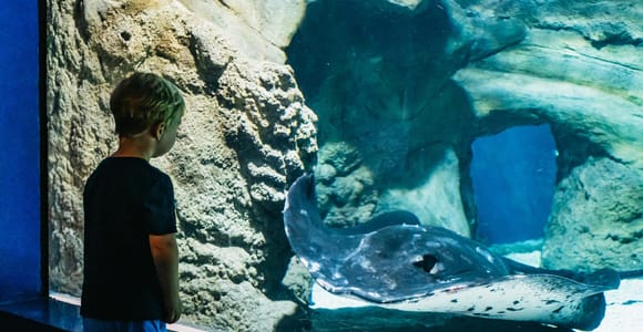 Lanzarote: Aquarium Entry Ticket
