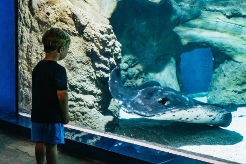 Lanzarote: Aquarium-Eintrittskarte