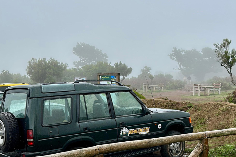 Unveil West Madeira: 4x4 Cliffs, Pools & Views Madeira Island full day 4x4 jeep tours