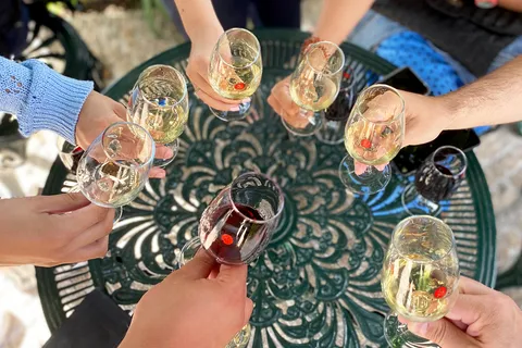 Oporto: Cata de vinos con tour a pie de tapas