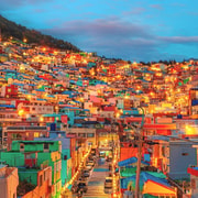 Busan: City Highlights Full or Half Day Custom Private Tour