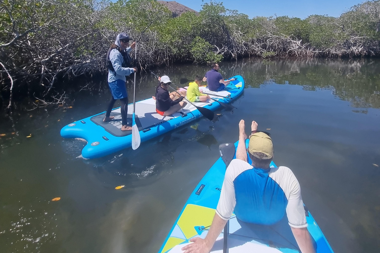 La Paz: Sea Lions & Mega-Paddleboard Tour in Balandra