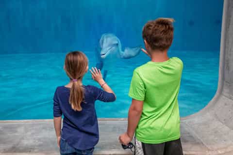 Clearwater: Eco-Certified Marine Aquarium General Admission