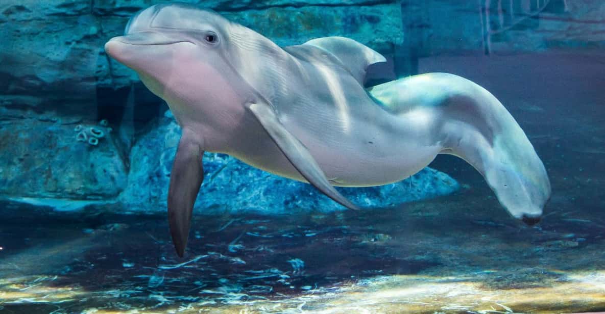 Clearwater: Eco-Certified Marine Aquarium General Admission