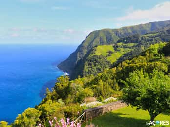 São Miguel: Tour de día completo por el Nordeste y la Cascada con almuerzo