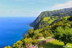 São Miguel: Viagem de um Dia a Nordeste, Falésias e Cachoeira com Almoço