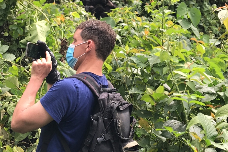 De Kampala: Gorilla Trekking dans la forêt de Bwindi Tour de 3 jours