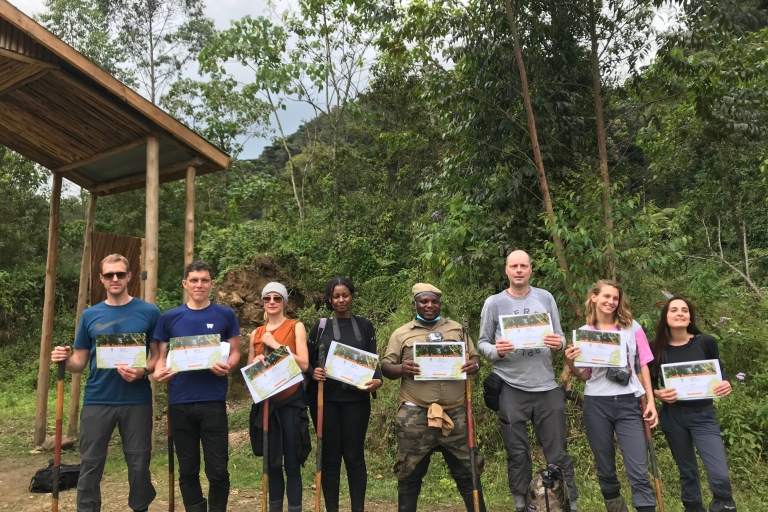 Z Kampali: 3-dniowa wycieczka po Gorilla Trekking w lesie Bwindi