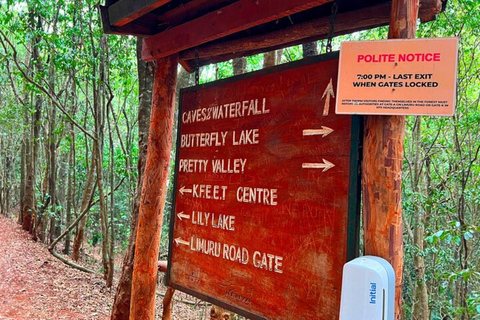Nairobi: Karura Forest Storytelling & Mau Mau Heritage Walk