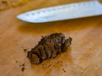 Palazzolo Acreide: Trüffeljagd mit 3-Gänge-Menü und Wein