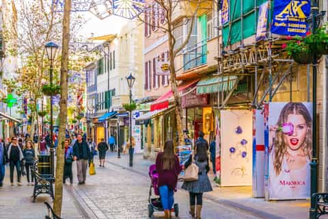 Gibraltar: Guided Tour by Bus Including Tickets