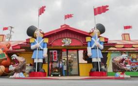 Branson: World's Largest Toy Museum Flexible Entry Ticket