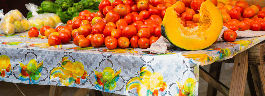 Découverte de l'île de Mahé