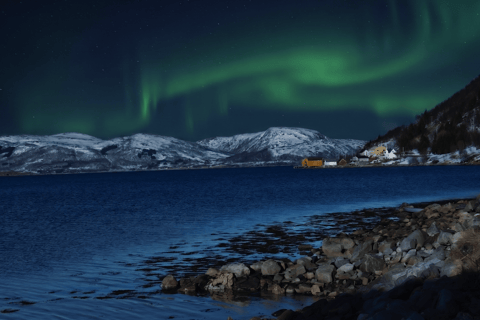 Tromsø: Private Aurora Chase: Personalized Hunt with a Local Group of 1-4 Guests