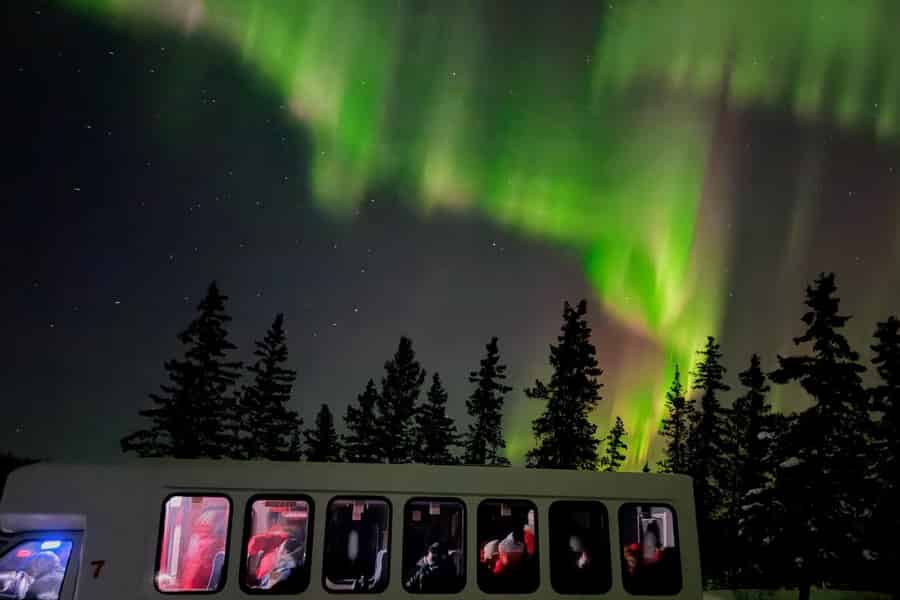 Yellowknife: 4-tägige Herbst-Tour mit Nordlichtern, Wasserfällen und Bisons. Foto: GetYourGuide Yellowknife: 4-tägige Herbst-Tour mit Nordlichtern, Wasserfällen und Bisons. Foto: GetYourGuide