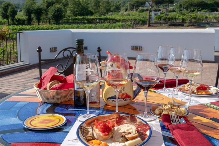 Naples: Vesuvio Wine Tasting Experience with Light Lunch Regular Group - max 40 pax