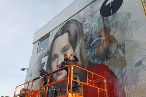 L'Aia: tour guidato in bici di street art di 2 ore