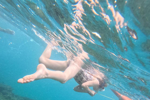 Diani Beach: Kisite Marine Park & Wasini Island Day Trip