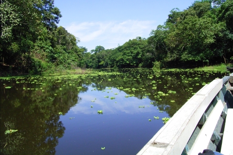 Tambopata : 3 jours dans la jungle amazonienne du Pérou