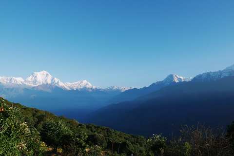 Pokhara : 4 jours de trekking à Ghorepani et Poon Hill via Ghandruk