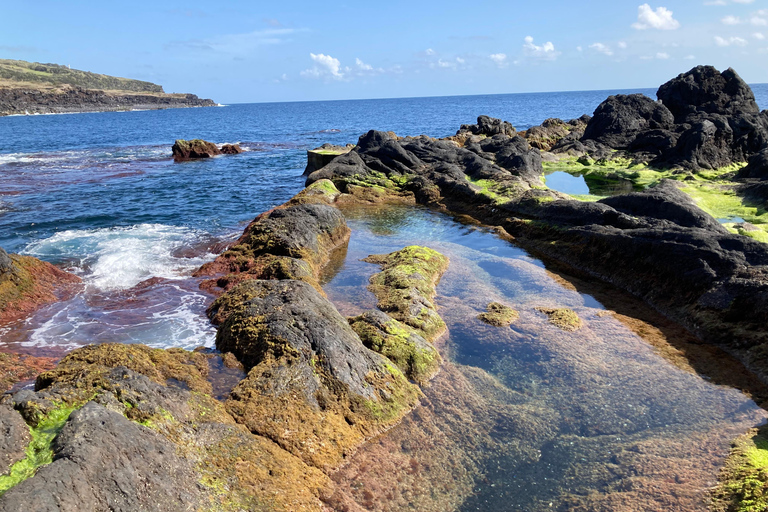 Faial Island: Guided Car Tour Half Day Shared Car Tour