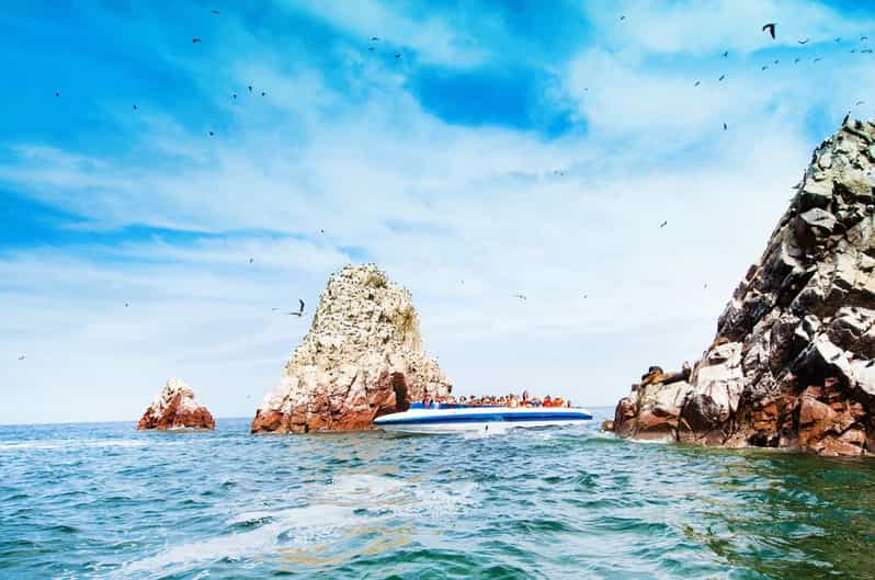 Galería de fotos para redes