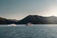 Queen Charlotte Sound Cruise mit Mittagessen - Hizvo