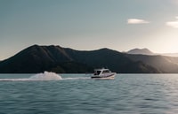 Queen Charlotte Sound, Scenic Cruise & Lunch - Hizvo