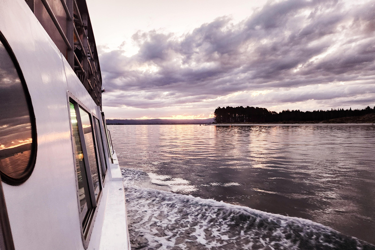 Tauranga Harbour Cruise