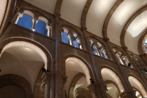 Saint-Jacques-de-Compostelle: visite guidée de la cathédrale et du muséeVisite guidée en espagnol