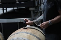 Margaret River, Tour di degustazione di vini Evoi con tavolo da formaggio - Housity