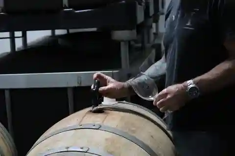 Margaret River: Evoi Wine Tasting Tour with Cheese Board