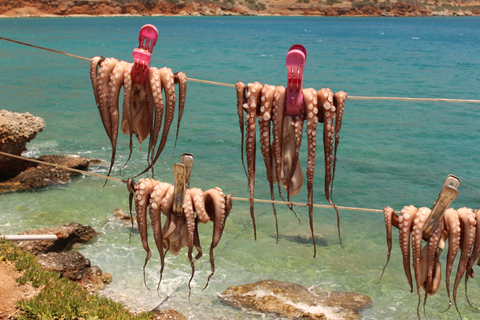 Dagtrip met gids naar het eiland Spinalonga met lunch in de taverne en wijnOphalen van Kokkini naar Agios Nikolaos en Elounda