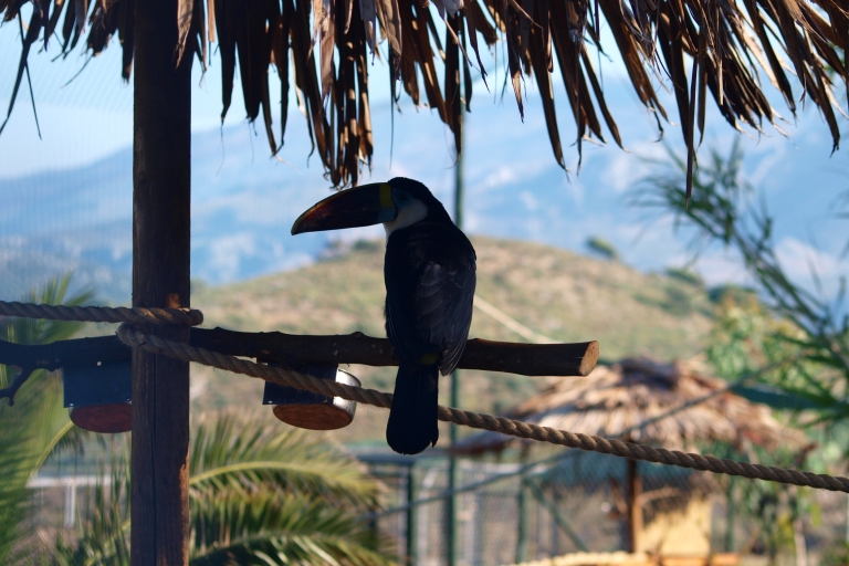 Crète: excursion d'une journée à Agios Nikolaos, Kritsa et AmazonasPrise en charge de Kokkini Hani à Sissi