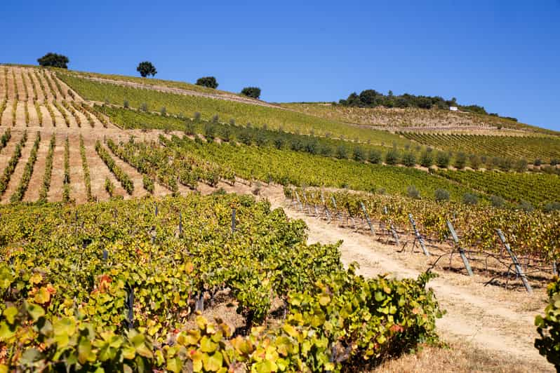 Douro Valley 4WD Tour with Wine Tasting and Picnic | GetYourGuide